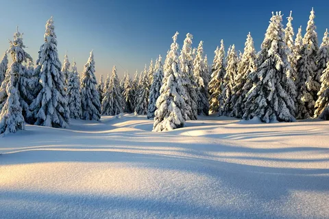 Вечеринки